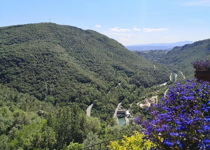 Miravalle نارني