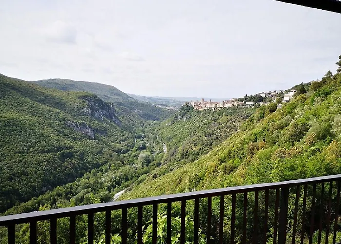 Miravalle نارني